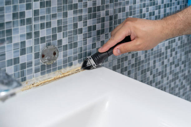 Best Basement Mold Remediation in Teutopolis, IL